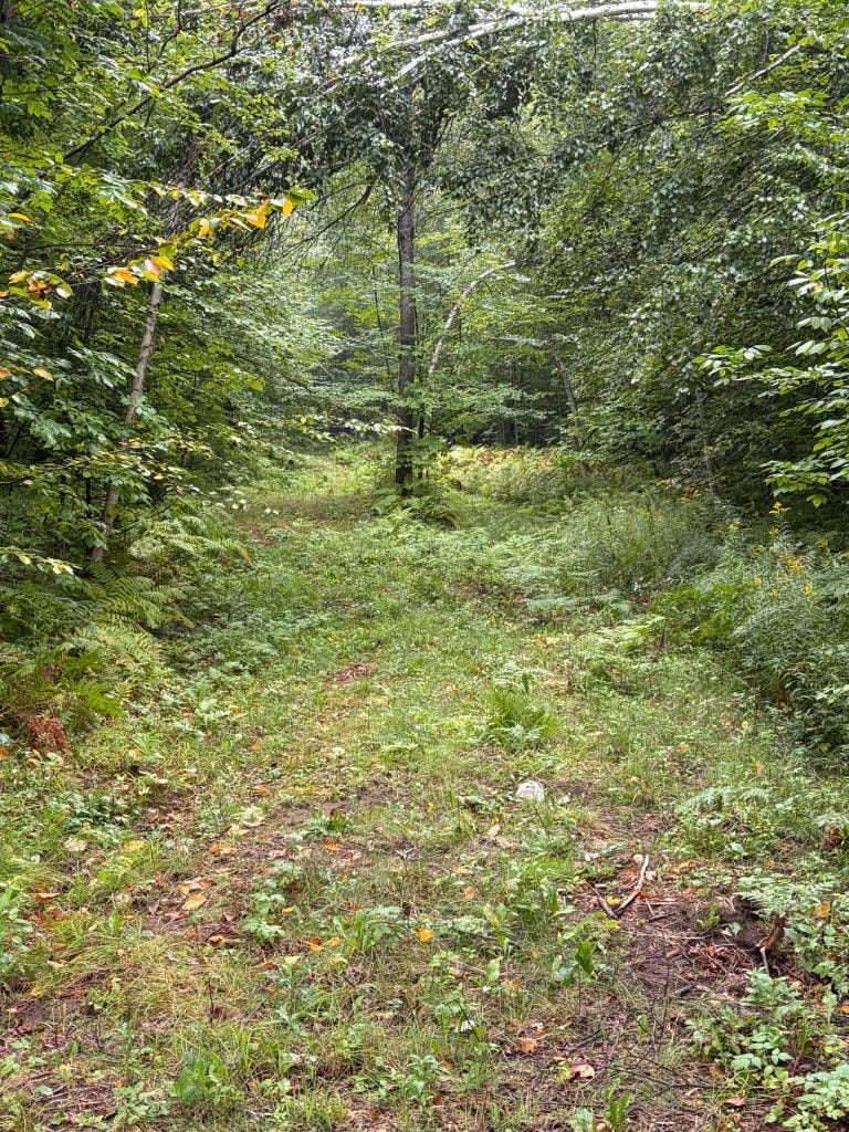 Lot 5 thumbnail 2
